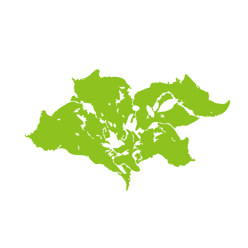 冰花