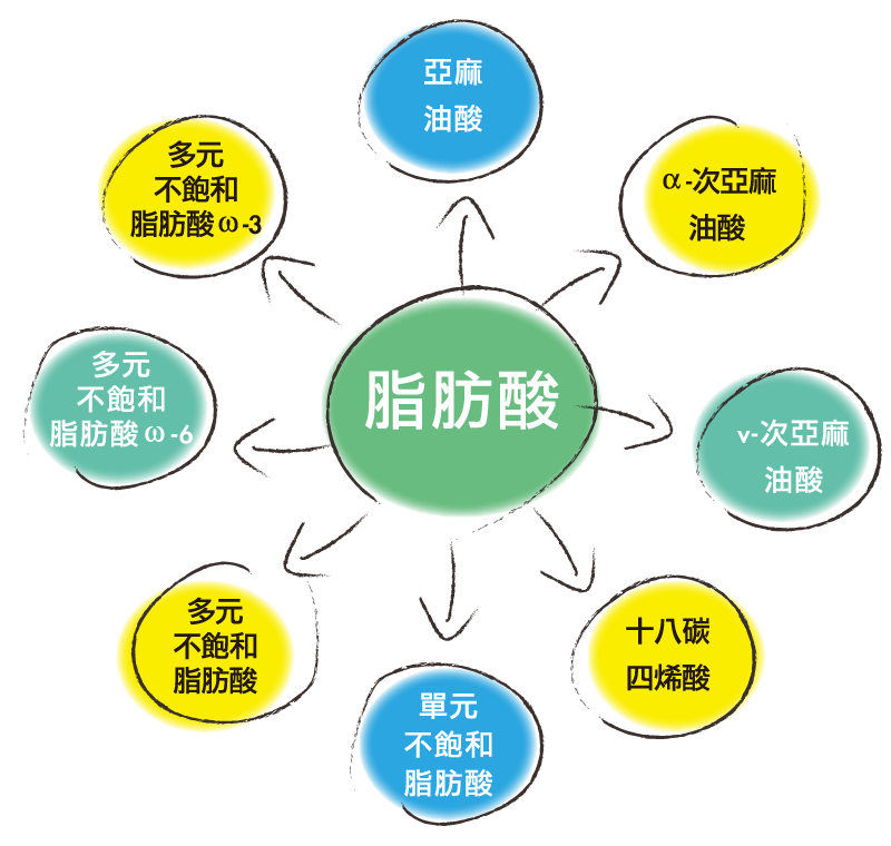 Omega-3的好處