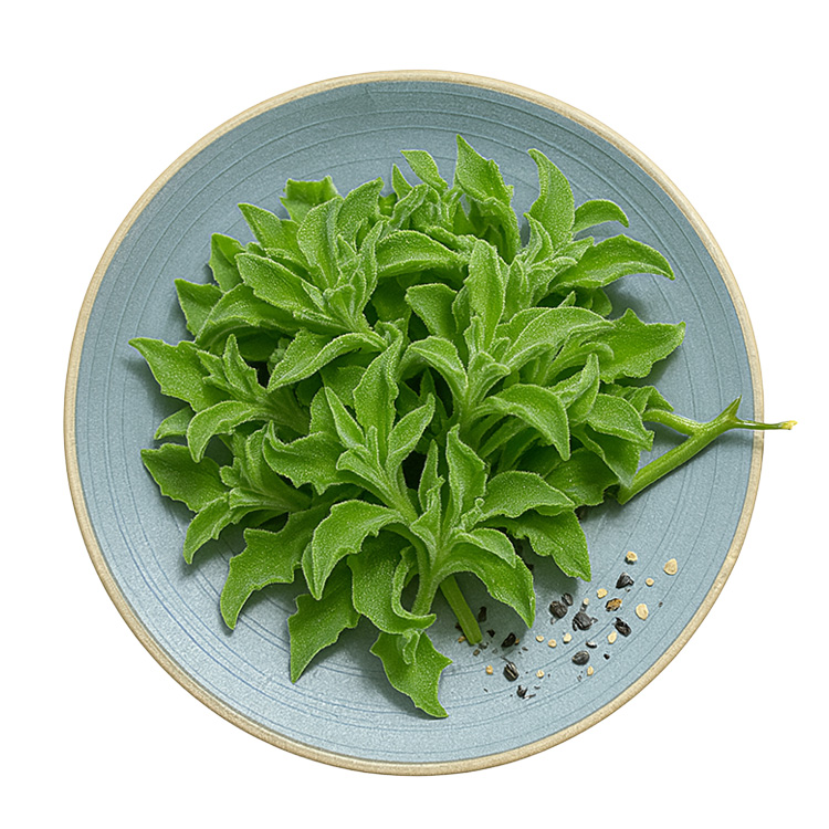 生鮮鑽石冰花